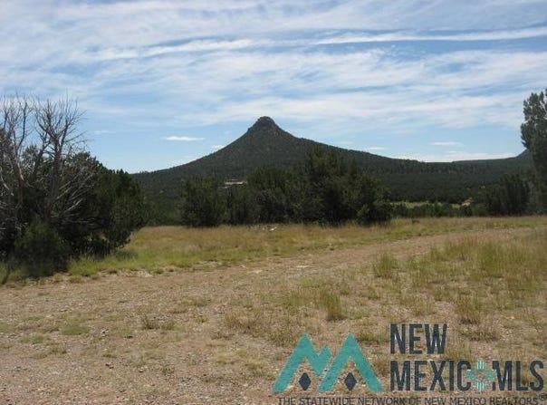 3 ACRES TRACT B 2 B, Serafina, NM 87569