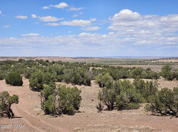 27 N 9183, Concho, AZ 85924