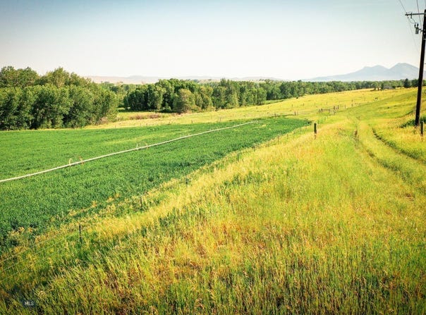 NHN Shields River Road, Wilsall, MT 59086