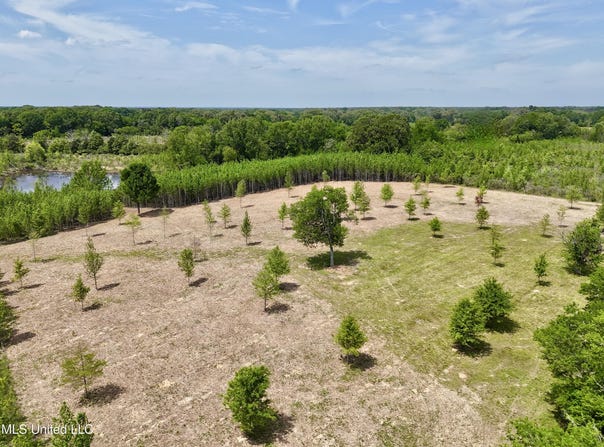 00019 Windermere Boulevard, Madison, MS 39110