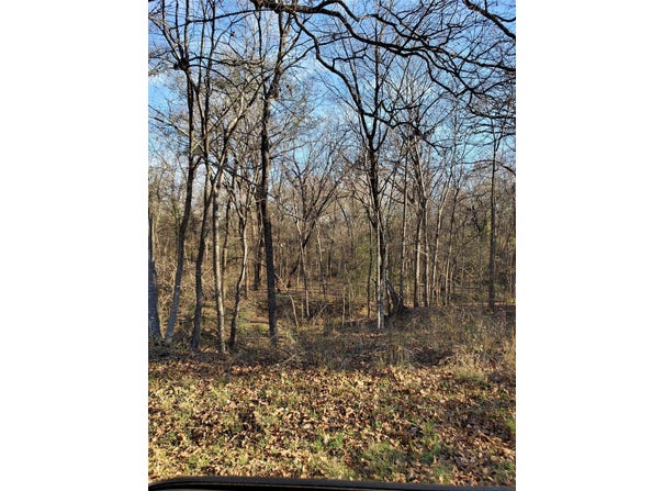 Wood Lane, Mabank, TX 75156