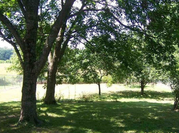 5365 CESSNA Rd lot: 60, Memphis, TN 38109