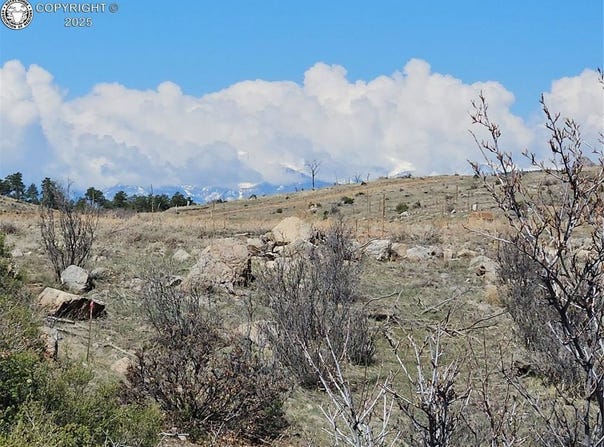 839 Shannon Trail, Cotopaxi, CO 81223