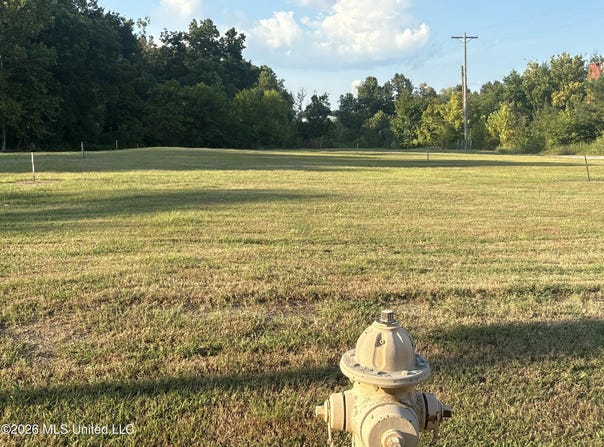 N Compress Street lot: 14, Holly Springs, MS 38635