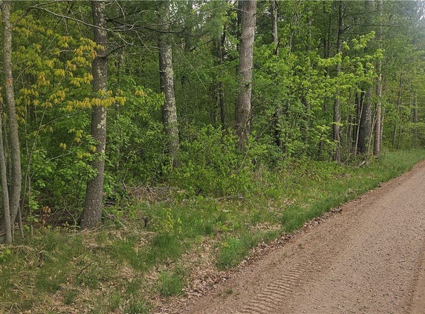 Lot 3 Buckeye Lane, Stone Lake, WI 54876