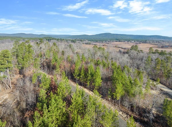 19 Red Bird Ridge, Smithville, OK 74957