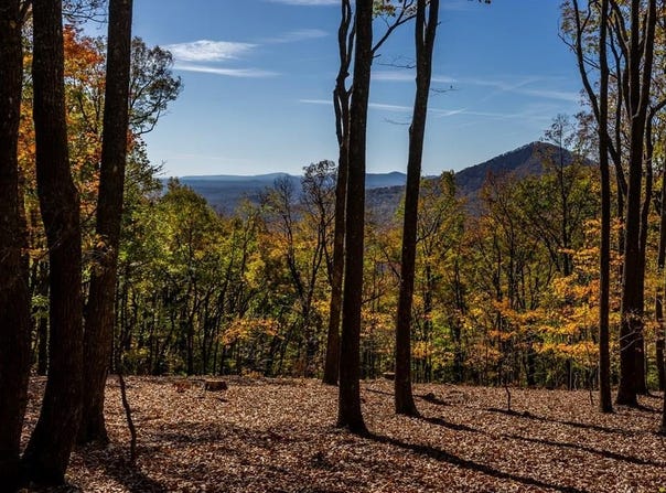 40.5 Ac Windsong, Jasper, GA 30143