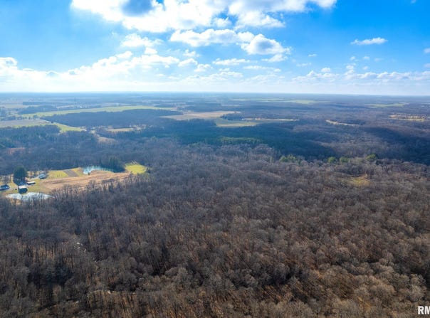 4868 Foxtail Ln 0 Lane, Tamaroa, IL 62888
