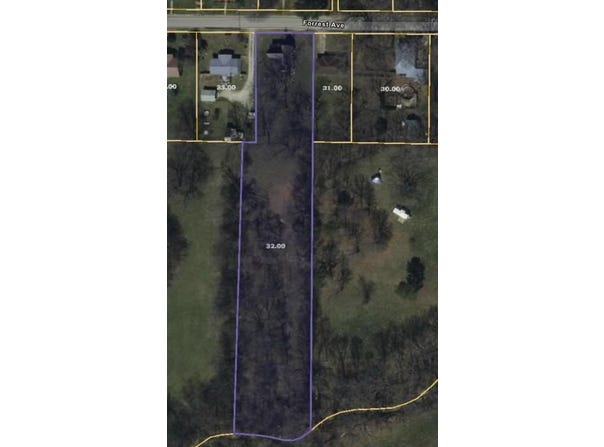 362 Forrest Ave, MCKENZIE, TN 38201