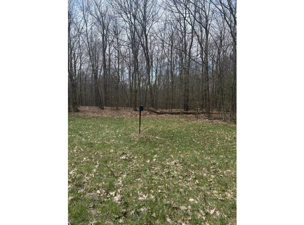 955 Woodland Rd, Sidney Center, NY 13839