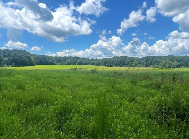 Lot 3 Lovebridge Rd, Calhoun, GA 30701
