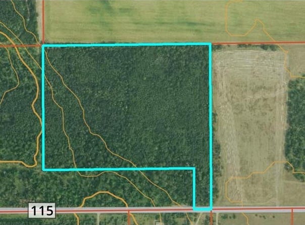 Tbd* C.R. #115, Pine River, MN 56474