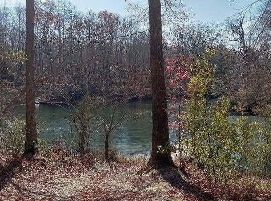 5.3 AC Lees Neck Farm Road, Gloucester, VA 23149