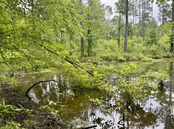 Lot E Camp Creek Road, Lancaster, SC 29720
