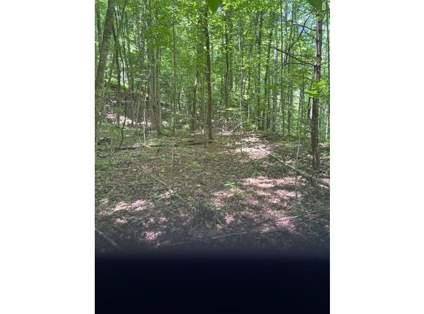 Macs Mountain Retreat Lane, Franklin, NC 28734