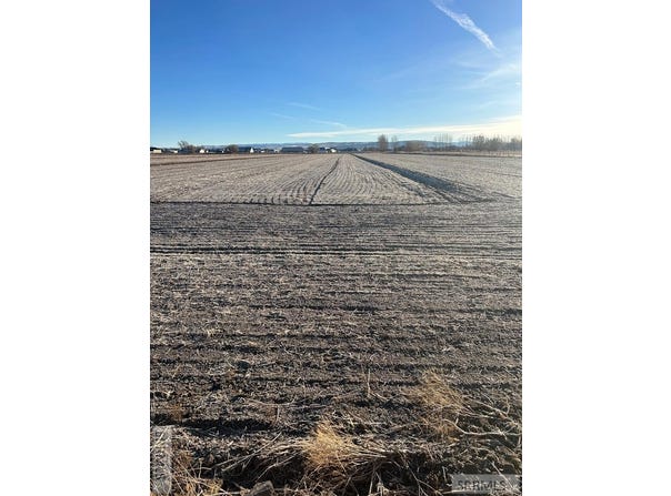 TBD Lot 1 4200 E, Rigby, ID 83442
