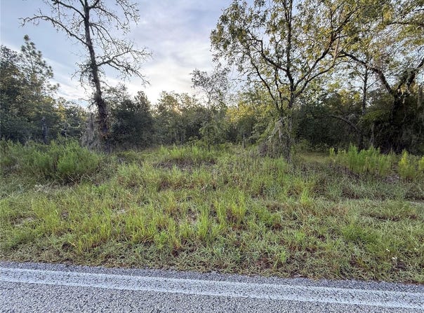 3297 SW BREEZY POINT, DUNNELLON, FL 34431
