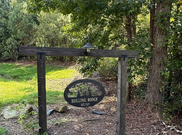 4540 MOUNTAIN VIEW ROAD, ODENVILLE, AL 35120