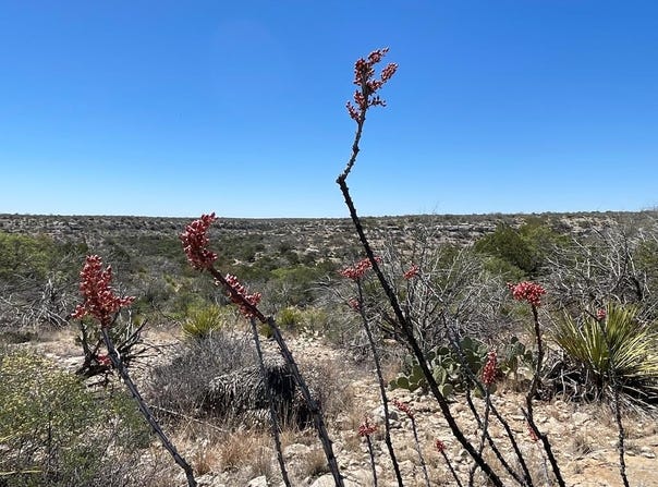 Hwy 349, Sheffield, TX 79848