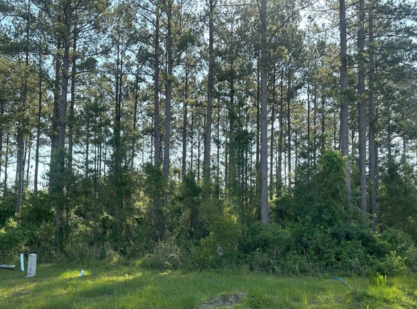 106 Beach Head, Kingsland, GA 31548