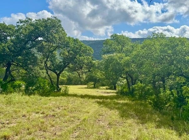 John Buchanan Rd, Leakey, TX 78873