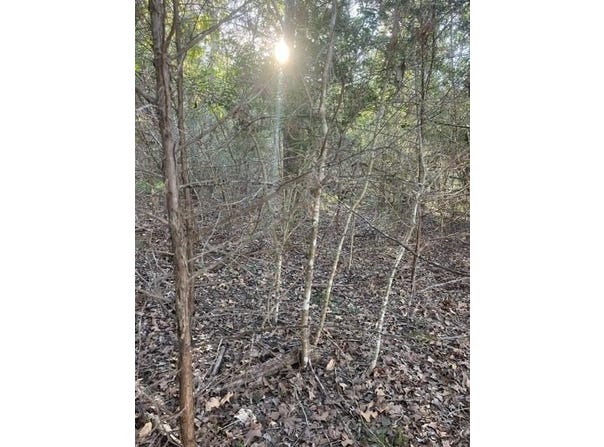 Lot 632 Hilea CT, Bastrop, TX 78692