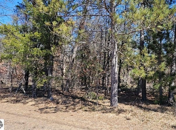 Site 10 Lumberjack Court, Grayling, MI 49738-1063