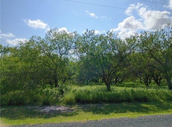 108 SWINNEY SWITCH lot: 2, Mathis, TX 78368