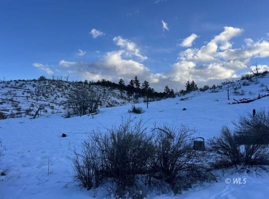 788 36th  trail, Cotopaxi, CO 81223