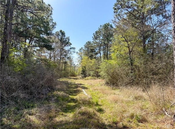 15.86 Acres Round Prairie Rd, Huntsville, TX 77320