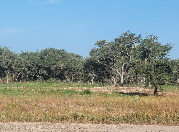 1224 S Terry St, ROCKPORT, TX 78382