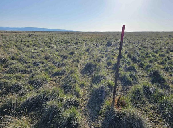2350 Kunae East Road, Declo, ID 83323