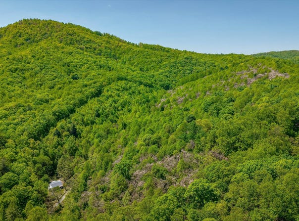 AUDREY LN BLUE RIDGE, VA 24064, Blue Ridge, VA 24064