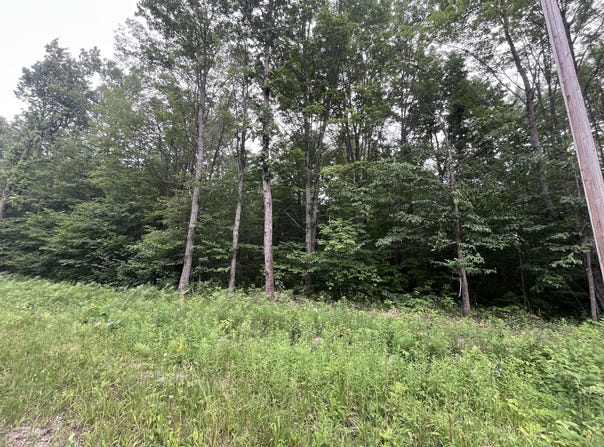 71 Valleyway Drive, Elmira, MI 49730