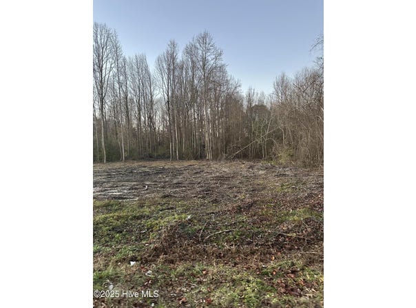 9585 Shallow Creek Trail, Bailey, NC 27807