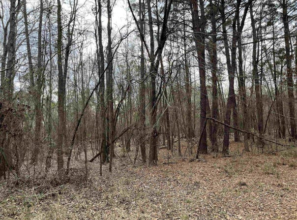 Tract 1 Venus Rd, White Oak, TX 75693