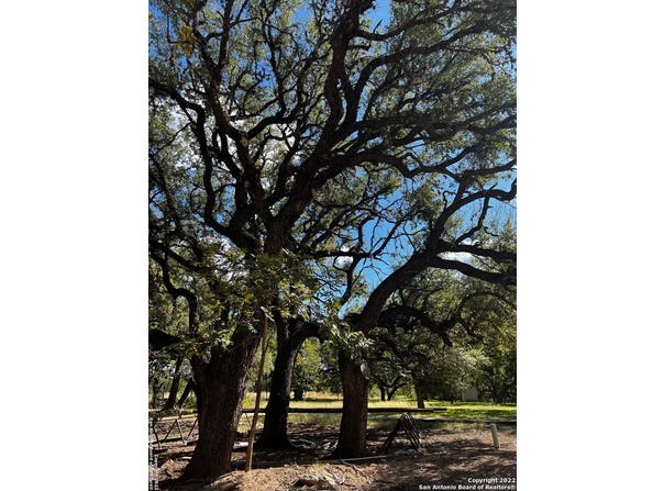 440 Red Wright Rd, Leakey, TX 78873