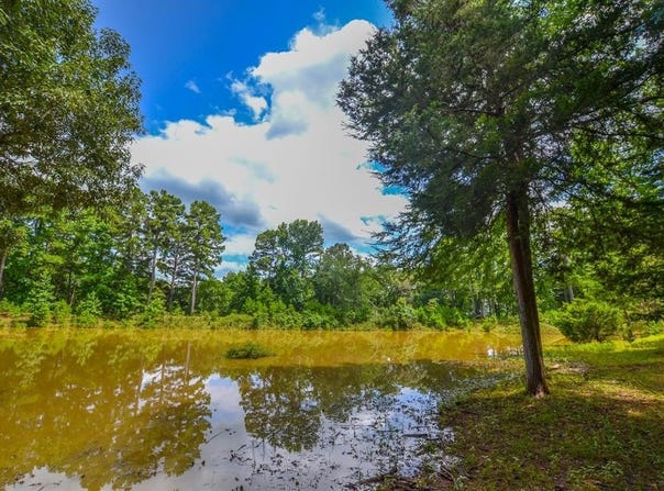 10933 County Road 4233, Frankston, TX 75763