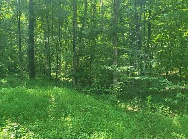 01 Terripan Run Rd, DOVER, TN 37058