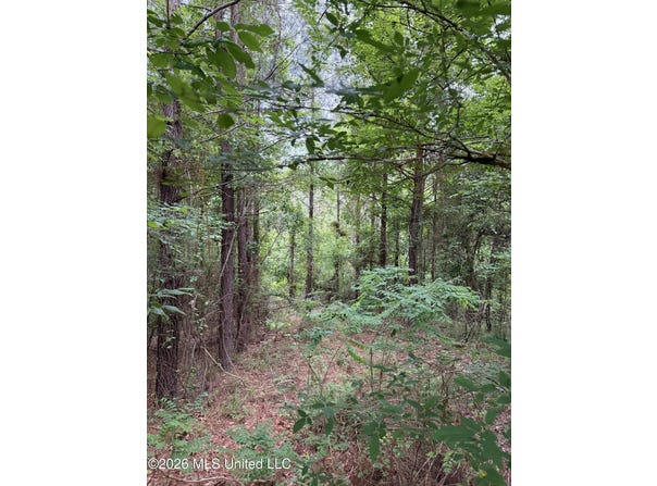 Hall Road, Natchez, MS 39120