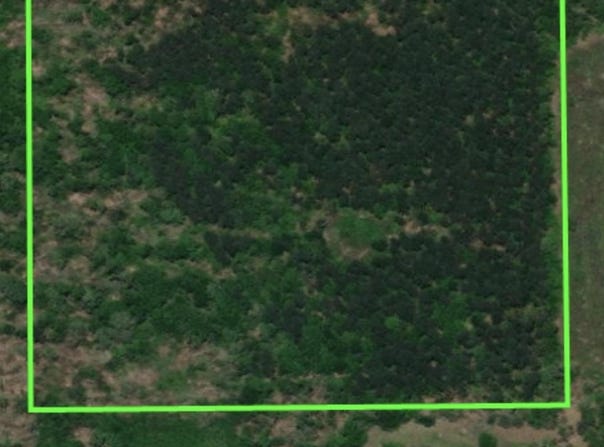 Star City, AR 71667