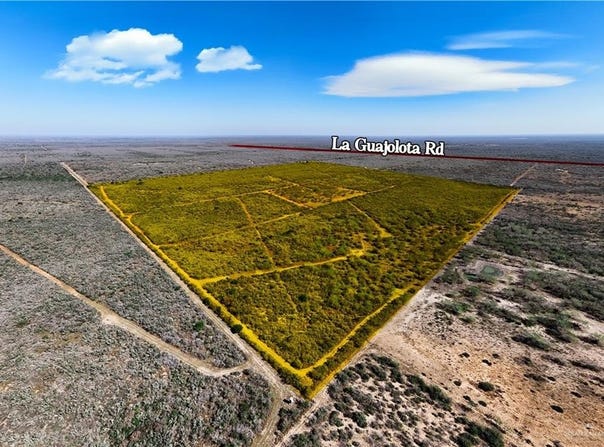 315 Guajolote Ranch Road, San Isidro, TX 78588