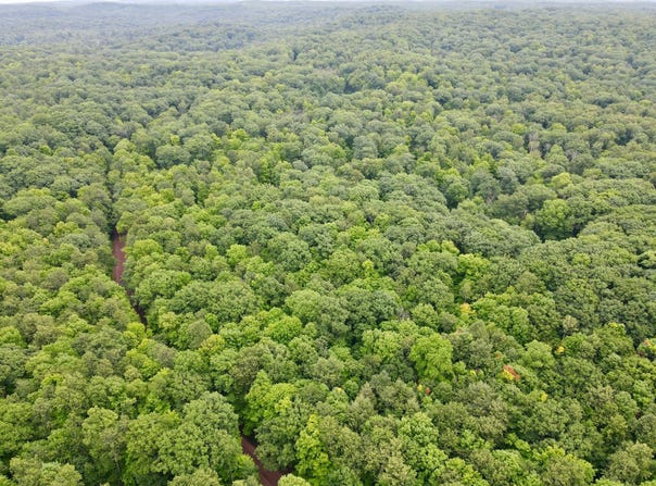 CRANE FOOT LAKE RD lot: 3, Gleason, WI 54435