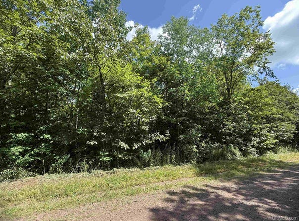 TBD Tree Top, Ironwood, MI 49938