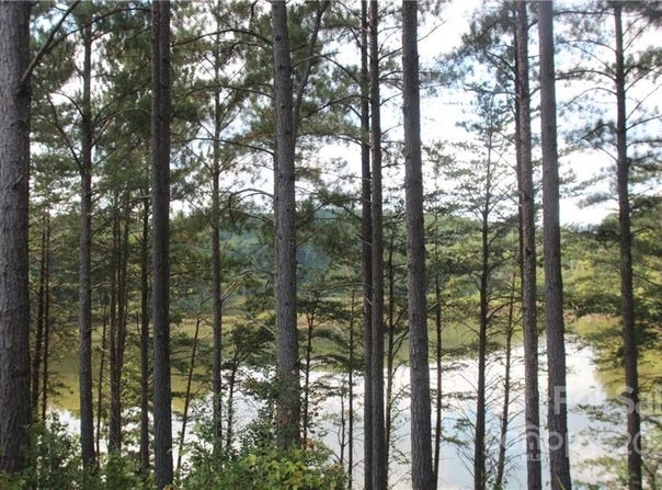 2038 Inlet Shore Road NE unit: 24, Connelly Springs, NC 28612