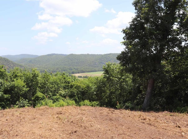 610 River Vista Dr, Mountain View, AR 72560