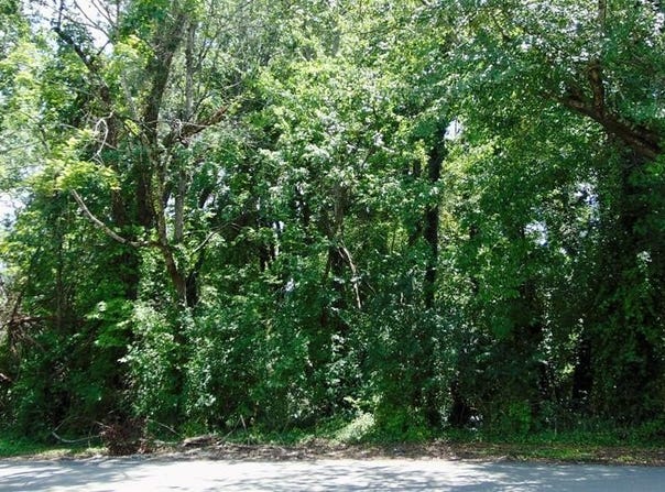 1145 Dowell Street, COOKEVILLE, TN 38501