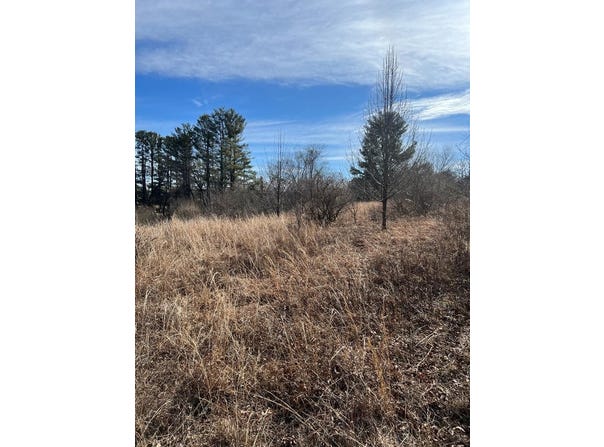 Tbd Larkspur Lane, Galax, VA 24333