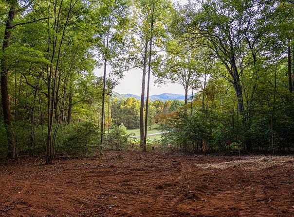 Cottonwood Lane, Blue Ridge, GA 30513