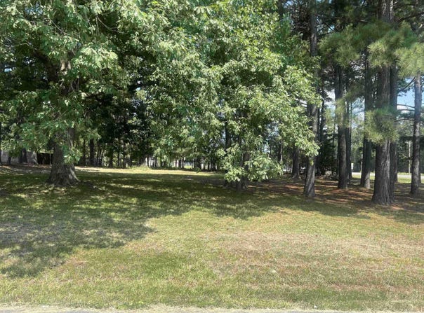 Michael Ann, White Hall, AR 71602